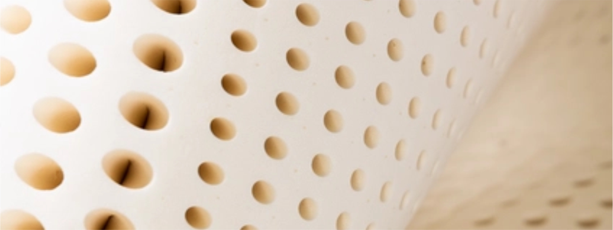 Phoxnix Electropedic Twelve (12) Inch Organic Organic Mattress